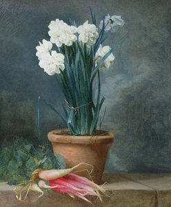 Pişmiş Toprak Kapta Narcissi Natürmort